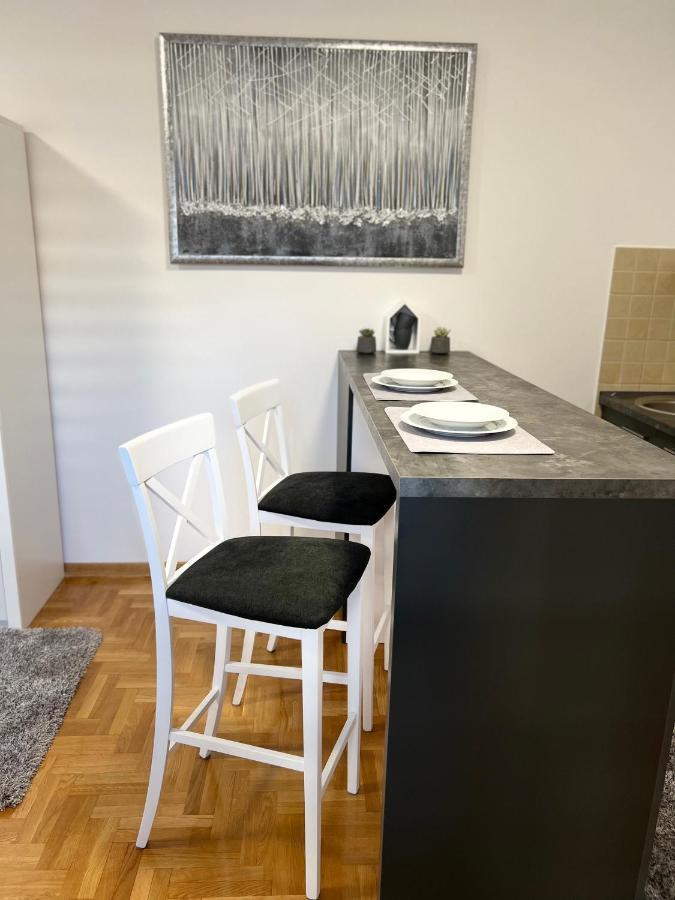 Centar Ns2 Apartment Novi Sad Exterior foto